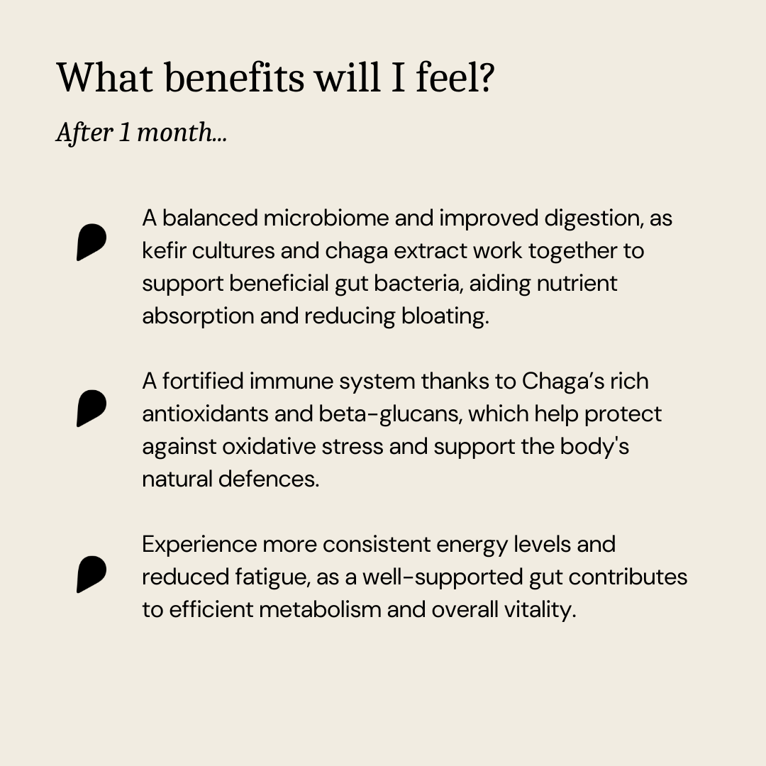 Xite Gut: Infused with Chaga and Kefir