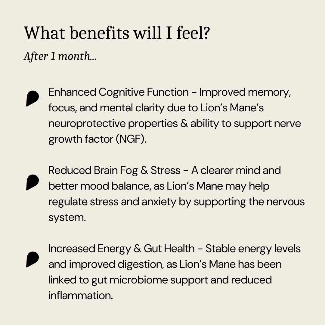 Xite Focus: Infused with Lion's Mane