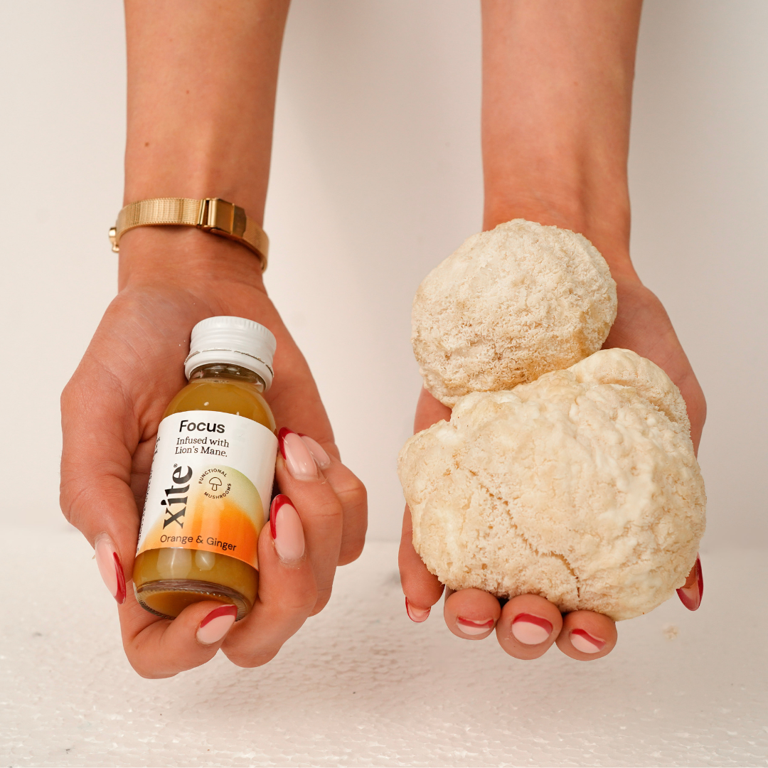 The 7 Nootropics to Help You Beat the Winter Blues